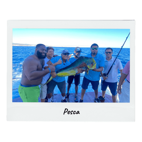 pesca Blue Moon Yacht LLC Blue Moon | Yate en Cabo San Lucas