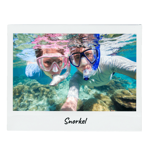 snorkel Blue Moon Yacht LLC Blue Moon | Yate en Cabo San Lucas