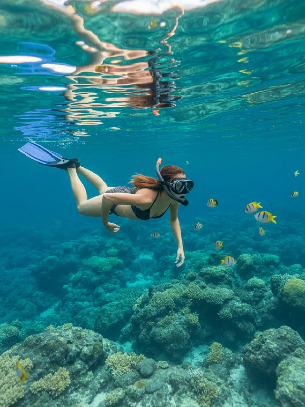 snorkeling Blue Moon Yacht LLC Events